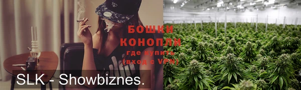 PSILOCYBIN Иннополис