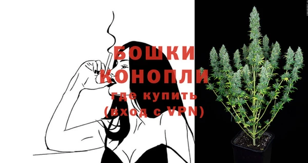 PSILOCYBIN Иннополис