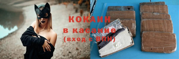 дживик Инта