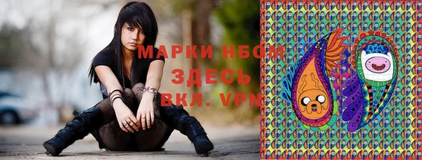PSILOCYBIN Иннополис