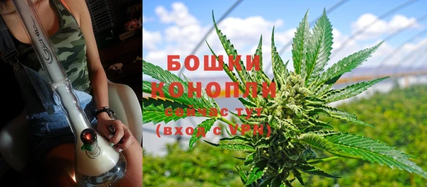 дживик Инта