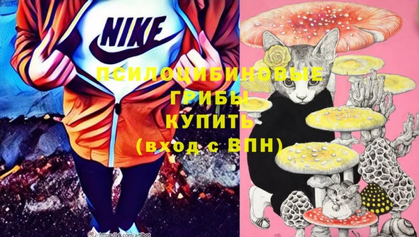 гашиш Инсар