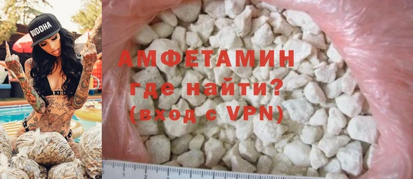 дживик Инта