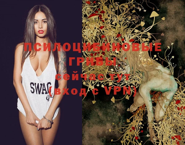 PSILOCYBIN Иннополис