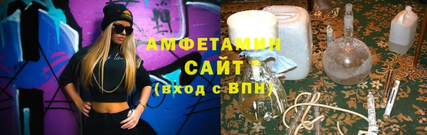 дживик Инта