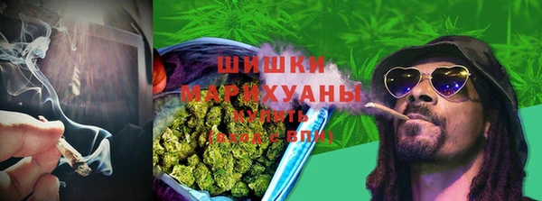 дживик Инта