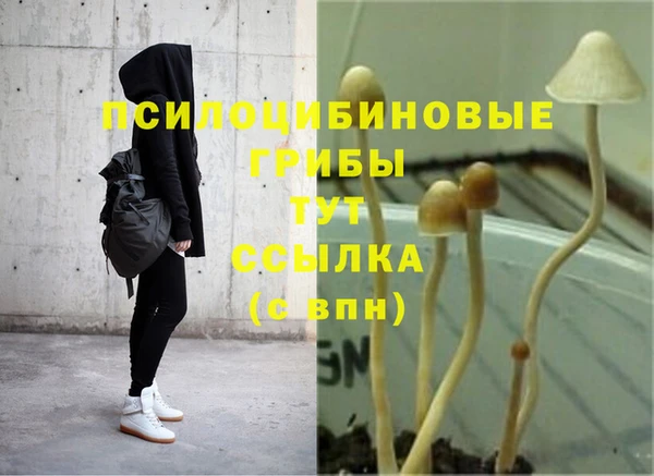 дживик Инта