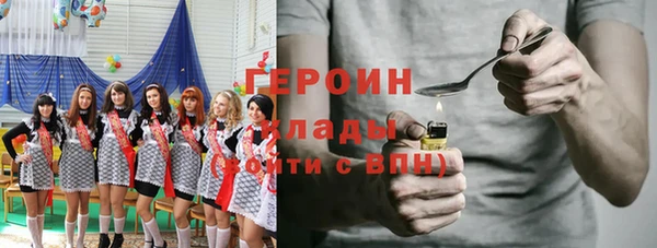дживик Инта