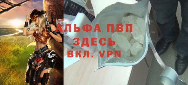 PSILOCYBIN Иннополис