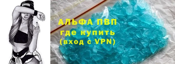 дживик Инта