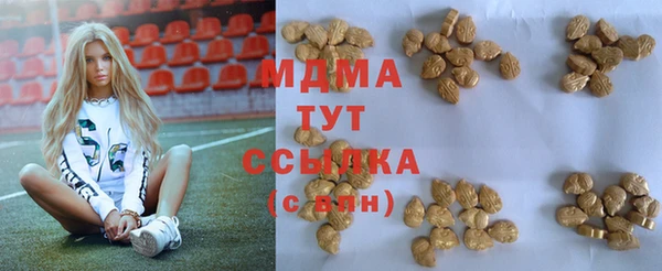 дживик Инта