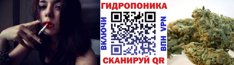 Бошки марихуана семена  Купить закладки  Хасавюрт 